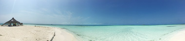 Saki Saki in panorama view